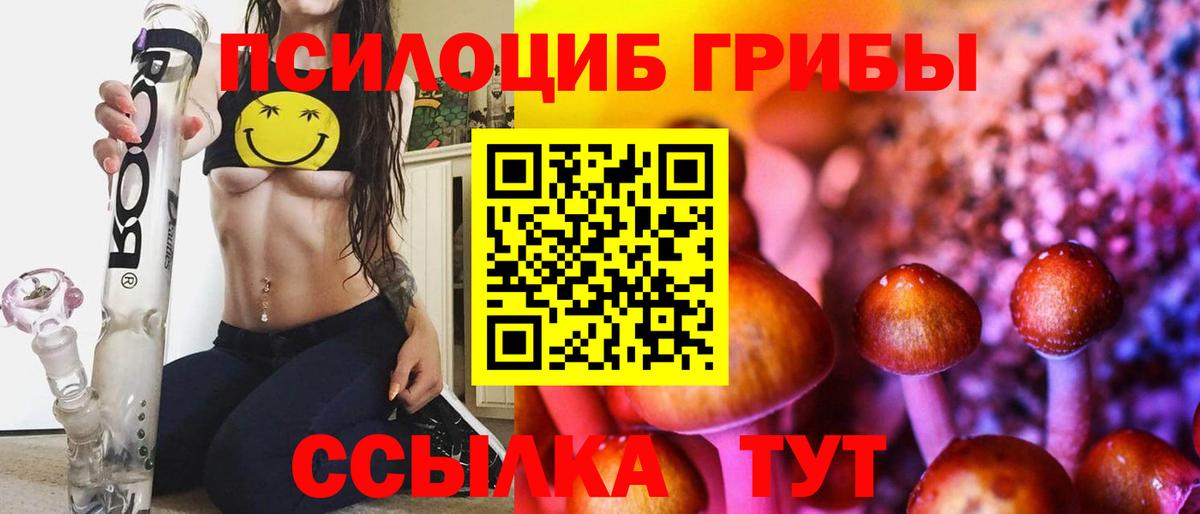Нурлат  Галлюциногенные грибы Psilocybine cubensis  Вход с VPN 